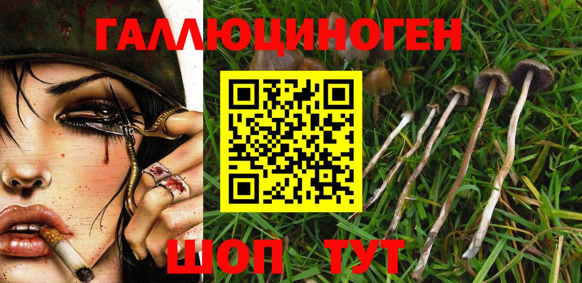 Псилоцибиновые грибы Magic Shrooms Старый Оскол