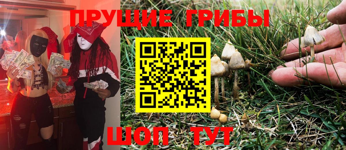 Галлюциногенные грибы Magic Shrooms  Вход с VPN  Старый Оскол 